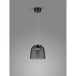 pendant luminaire ODA IP20