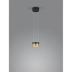 LED Pendelleuchte ODA, ohne Glasschirm, 25W, 2700K, IP20, dimmbar, schwarz/gold