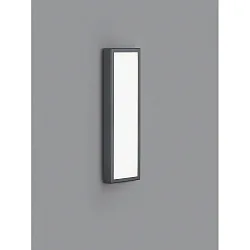 LED Außenwandleuchte SCALA, IP44, 45.5 x 13cm, 13W 3000K 840lm, Acryl-Diffusor, graphit