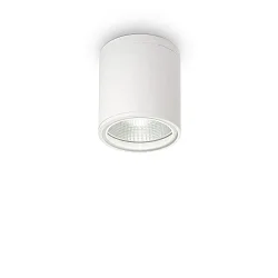 Outdoor Aufbau-Downlight GUN, IP44 IK06, Ø 11cm, GU10, Aluminium / Pyrexglas, weiß