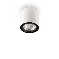 Downlight MOOD ROUND QPAR111, Ø 15cm, inkl. GU10 50W 2700K, schwenkbar