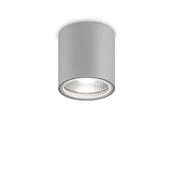 Outdoor Aufbau-Downlight GUN, IP44 IK06, Ø 11cm, GU10, Aluminium / Pyrexglas, grau