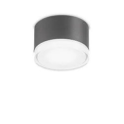 Outdoor Wand-/Deckenleuchte URANO SMALL, Ø 12cm, GX53 max. 15W, Aluminium / Acryl, Anthrazit matt
