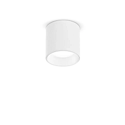LED Aufbau-Downlight NITRO D04 ROUND DOB, IP20, Ø 4cm, CRi >90, dimmbar, starr, 4W 2700K 210lm 40°, weiß