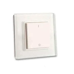 Sys-One single color 1 Zone Aufbau-Tast-Fernbedienung mit Batterie