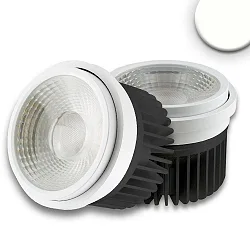 LED Modul AR111, IP40, 230V AC, 30W 4000K 2700lm, 35°-50° variabel, inkl. externem VG, Alu / Silber