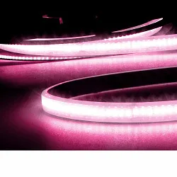 Outdoor LED Strip AQUA CRI9B LINEAR 48V-Flexband, IP68, 240 LED/m, 8W/m, dimmbar, pink, 5m Rolle / 1.2cm