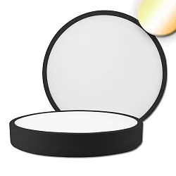 ceiling luminaire PRO 300MM round, CCT Switch IP20, black dimmable