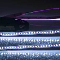 LED CRI FOOD Flexband FISH, IP54 Nano beschichtet, 24V, 14.4W 11600K, CRi 75, dimmbar