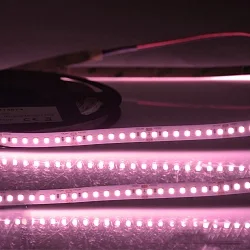 LED CRI FOOD Flexband MEAT, IP54 Nano beschichtet, 24V, 14.4W 3700K, CRi 80, dimmbar
