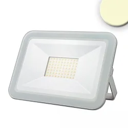 LED Fluter PAD 50W, IP65, SMD, Alu-Druckguss, weiß, 50W 3000K 4870lm 120°, 100cm Kabel (offen)