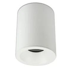 ceiling luminaire 2-pole GU10 IP65, white dimmable