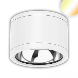 LED Deckenaufbaustrahler, 25W, ColorSwitch 3000|4000|5000K, IP65, dimmbar, weiß