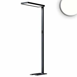 LED Stehleuchte OFFICE PRO Up&Down, 80W|20W, UGR<19, 4000K, IP40, dimmbar, schwarz