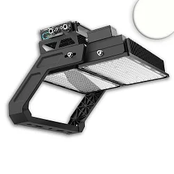 floodlight LW 1250W NW DALI - 130 X 25° 2-fold, swivelling, DALI controllable IP66, black dimmable