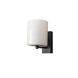 Außenwandleuchte PORTICI, IP44, E27, Stahl schwarz / Kunststoff opal, glänzend