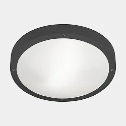 wall and ceiling luminaire BASIC E27 IP66