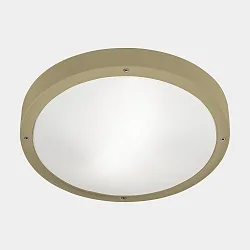 wall and ceiling luminaire BASIC LED IP66