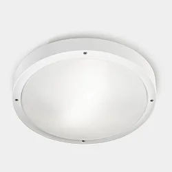 wall and ceiling luminaire BASIC LED IP66