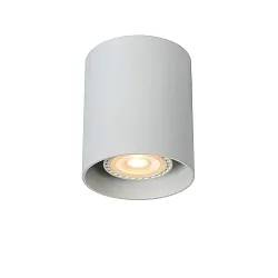 spot BODI cylindrical GU10 IP20, white dimmable