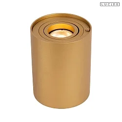 table lamp TUBE GU10 IP20, brass dimmable