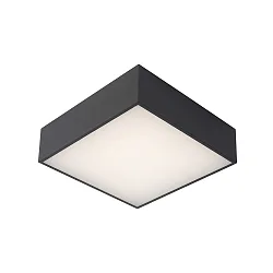 LED Deckenleuchte ROXANE Badleuchte, 1x12W, 2700K, IP54, Anthrazit
