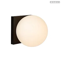 wall luminaire TASSA IP20, opal, black dimmable