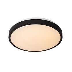 ceiling luminaire DASHER 35 IP44, opal, black 