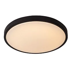 ceiling luminaire DASHER 41 IP44, opal, black 