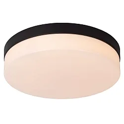 ceiling luminaire BISKIT 28 IP44, opal, black 