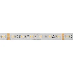 LED Strip 5050 RGB+WW/CW SMD - 5M / 12MM RGBW white