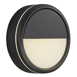 LED Außenwandleuchte AVA SMART LIGHT, IP54, 9.5W 2700K 600lm 160°, Bluetooth steuerbar, dimmbar, schwarz /  Abdeckung mat