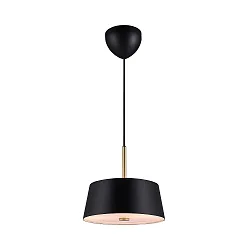pendant luminaire CLASI 30 E14 IP20, black matt dimmable