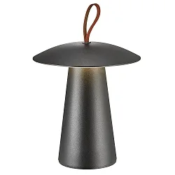 battery table lamp ARA TO-GO 2 IP54, black dimmable