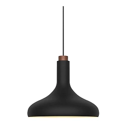 Pendelleuchte FUJI, E27, IP20, schwarz