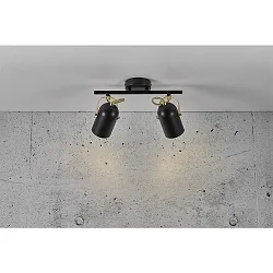 Deckenstrahler LOTUS, 2-flammig, E14, IP20, schwarz/gold