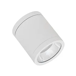 Outdoor LED Aufbau-Strahler DOWNLIGHT SURFACE IP65 DN 90 P 15W 830 36D WT