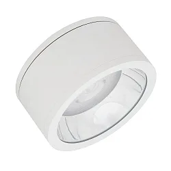 DOWNLIGHT SURFACE IP65 DN 250 P 45W 840 60D WT