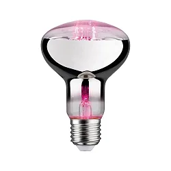 LED Wachstumslicht-Filament / Grow Green Reflektor R80, 230V, E27, 6.5W 1300K 200lm 60°
