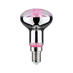 LED Wachstumslicht-Filament / Grow Green Reflektor R50, 230V, E14, 4W 1300K 100lm 64°