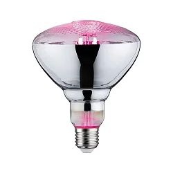 LED Wachstumslicht-Filament / Grow Green Reflektor PAR38, 230V, E27, 6.5W 1300K 200lm 115°