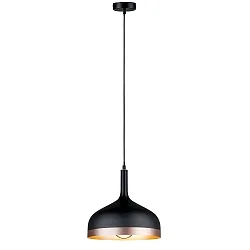 Paulmann Pendant luminaire Neordic Embla 1 flame, black /copper