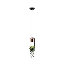 Pendelleuchte NEORDIC Urban Jungle FANJA, GU10 max. 20W, Metall / Gals, Schwarz / Kupfer