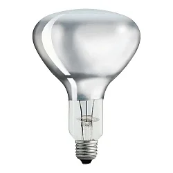 Philips 375 W R125 clear IR CH Landwirtschaft + Lebensmittel