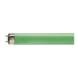 Philips Leuchtstoffröhre TLD 17, G13, grün, 18W