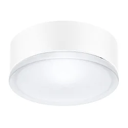 Wand- und Deckenleuchte DROP 28, E27, 1x100W, A60, IP55, IK06, weiß / Glas opal