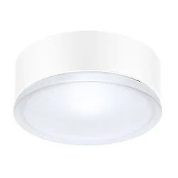 Wand- und Deckenleuchte DROP 22, E27, 1x60W, A60, IP55, IK06, weiß / Glas opal