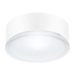 LED Wand- und Deckenleuchte DROP 28 LED, 16W, 4000K, 1382lm, IP55, IK06, statisch, weiß / Glas opal
