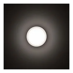 LED Wand- und Deckenleuchte DROP 22 LED, 11W, 3000K, 758lm, IP55, IK06, statisch, Glas opal, schwarz