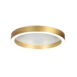 ceiling luminaire RINGLUX IP20, dimmable